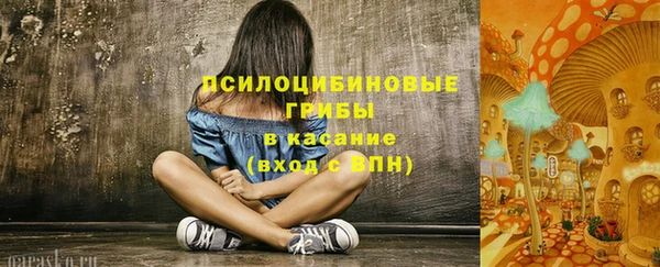 тгк Алзамай