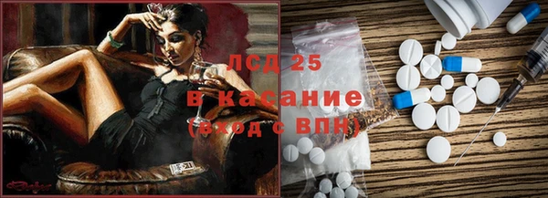 PSILOCYBIN Медвежьегорск