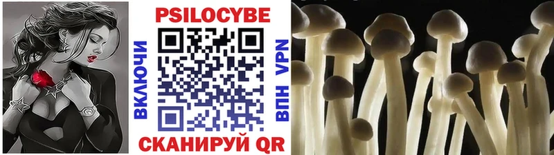 Псилоцибиновые грибы Psilocybine cubensis  кракен как войти  Санкт-Петербург 